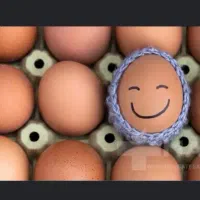 تخم مرغ تازه