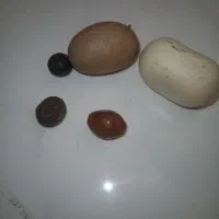 سنگ شهاب سنگ