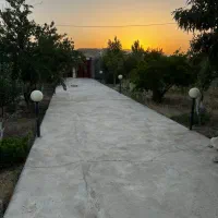 فروش باغ ثمری برق دار سیخ دارنگون|فروش دفتر صنعتی، کشاورزی، تجاری|شیراز, شهرک سراج‎|دیوار