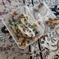 حلزون|خزنده|اشکذر, |دیوار