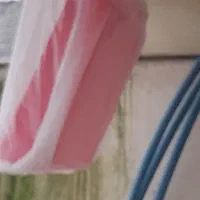 قفس پرنده|لوازم جانبی حیوانات|رشت, پیرکلاچای|دیوار