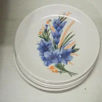 ظروف منزل|ظروف سرو و پذیرایی|کرج, حیدرآباد|دیوار