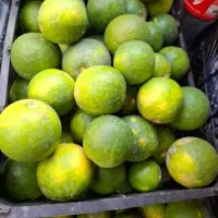 نارنج تازه آبدار|خوردنی و آشامیدنی|نوکنده, |دیوار