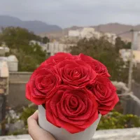 دسته گل مناسبتی ماندگار|گل مصنوعی|اسفراین, |دیوار