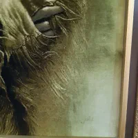 تابلو فرش دستبافت|تابلو فرش|تهران, امیریه|دیوار