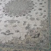 فرش و روفرشی|فرش|لاهیجان, بازکیاگوراب|دیوار