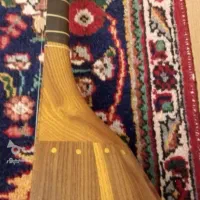 تنبور پاشنه ای فروتن|سازهای سنتی|تبریز, |دیوار