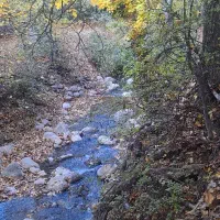 فروش فوری باغ در وسط شهر اردکان مرکز سپیدان