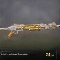 خدمات گلد و دایموند گان  یک روزه