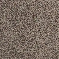 فروش شاهدانه