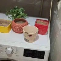 گلدان سفالی و فانتزی|گل و گیاه طبیعی|تهران, صد دستگاه|دیوار