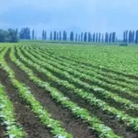 زمین 10 هزار متری سرخط اتوبان اصلی بهترین لوکیشن