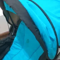 کالسکه دلیجان|کالسکه و لوازم جانبی|شوش, |دیوار