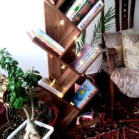 کتابخانه درختی شیک وکم جا|کتابخانه، شلف، قفسه‌های دیواری|تبریز, |دیوار