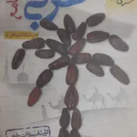 انسانی کتاب|کتاب و مجله آموزشی|بیرجند, |دیوار