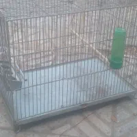 قفس غلامی