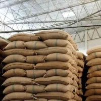 فروش و واردات دانه سبز EP1|عمدهفروشی|تهران, اوین|دیوار