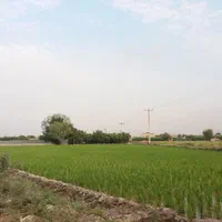 راهنمایی برای فروش زمین