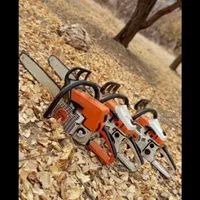 خرید چوب خریدار چوب کیلویی ۷۰۰۰|خدمات باغبانی و درختکاری|ساوه, |دیوار