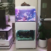 آکواریوم دلسا