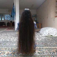 مو بور و زال با دلار
