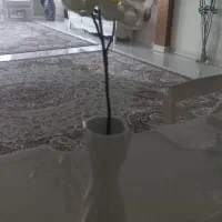 گلدان چینی سفید و یک شاخه گل ارکیده سفید