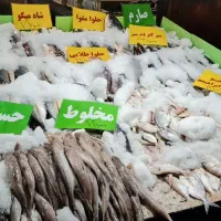 ماهی تازه جنوب رسید|خوردنی و آشامیدنی|کاشان, میدان میوه تره بار|دیوار