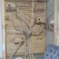 قفس پرنده