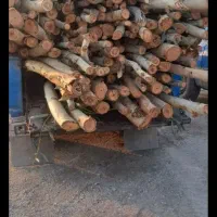 پیمانکاربرش و خرید انواع چوب