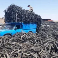خرید طیف سر زمین تیپ