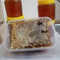 عسل کوهستان طبیعی ریال و عسل خود بافت