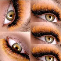 50درصد تخفیف بلک فرایدی برای کاشت مژه ولیفت ابرو|خدمات آرایشگری و زیبایی|تهران, هفت حوض|دیوار