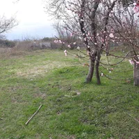 زمین ۴۱۶ متری مسکونی روستای چمن|فروش زمین و ملک کلنگی|طاهرگوراب, |دیوار