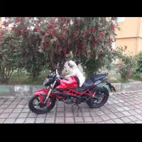 فروش موتور بنلی۲۵۰ مدل ۱۳۹۹