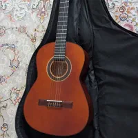 گیتار مبتدی