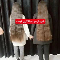 کوتاهی مو صادر کننده مو