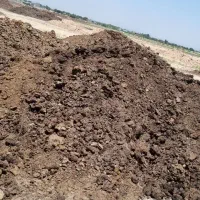 کود گاوی خشک و پوسیده|خدمات باغبانی و درختکاری|هشتگرد, تهران دشت|دیوار