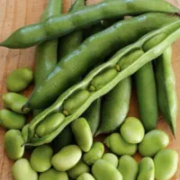 باقالی پاک کرده