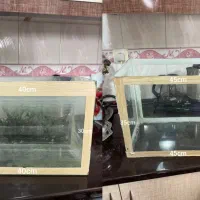 دو آکواریوم