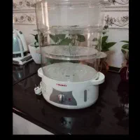 بخار پز