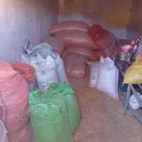 کود سفید پردیس ورازی