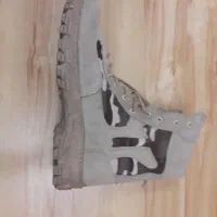 پوتین مرزبانی