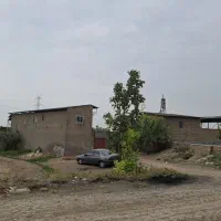 اجاره دامداری|اجارهٔ دفتر صنعتی، کشاورزی، تجاری|گرگان, |دیوار