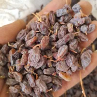 کشمش آفتابی بوانات|خوردنی و آشامیدنی|بوانات, |دیوار