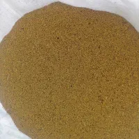 بذر یونجه درجه یک