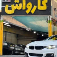 نیروی حرفه ای کار کارواش