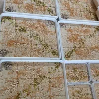 تولیدی محصولات کنجدی،ارده،حلواشکری و|خوردنی و آشامیدنی|اردکان, |دیوار