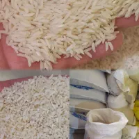 برنج هاشمی درج یک