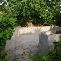 باغچه باغ شهرک پردیس کنار جوادیه وصنایع|فروش زمین و ملک کلنگی|شیراز, رکن‌آباد|دیوار