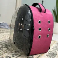 کیف پرنده یا گربه